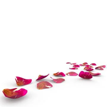 Rose petals fall to the floor Stock Illustration
