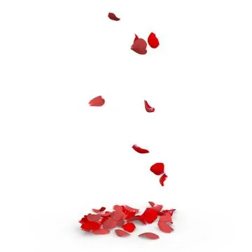 Rose petals fall to the floor Illustrazione stock