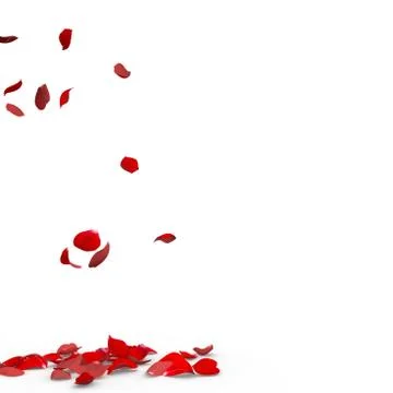 Rose petals fall to the floor Illustrazione stock