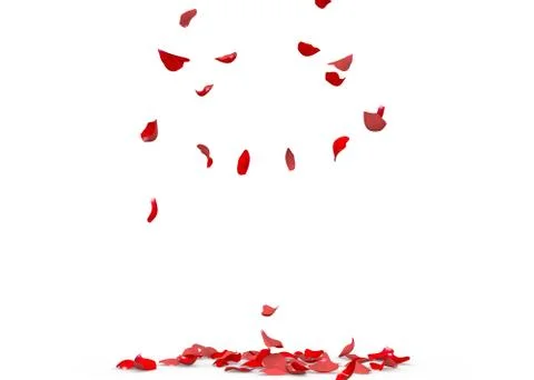 Rose petals fall to the floor Stock Illustration