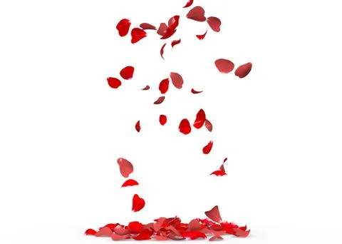 Rose petals fall to the floor Stock Illustration