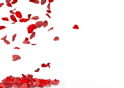 Rose petals fall to the floor Stock Illustration