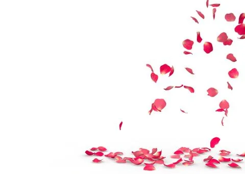 Rose petals fall to the floor Stock Illustration