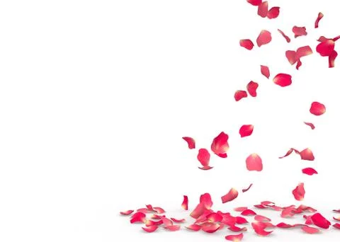 Rose petals fall to the floor Stock Illustration