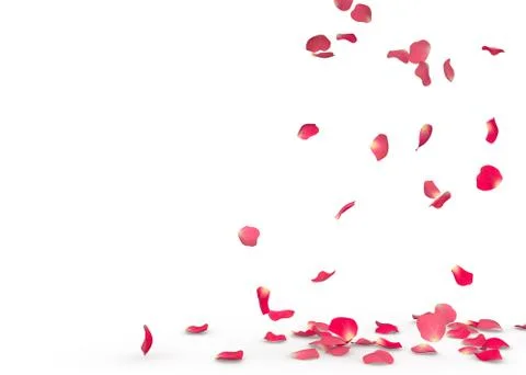 Rose petals fall to the floor Stock Illustration