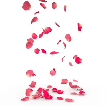 Rose petals fall to the floor Stock Illustration