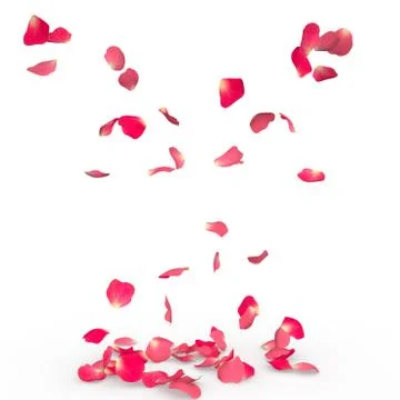 Rose petals fall to the floor Stock Illustration