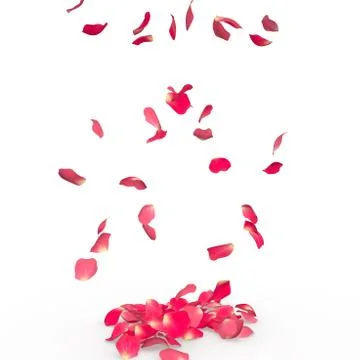 Rose petals fall to the floor Stock Illustration