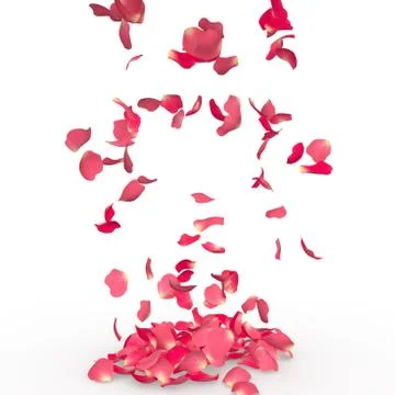 Rose petals fall to the floor Stock Illustration