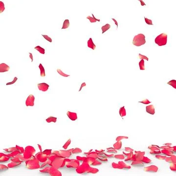 Rose petals fall to the floor Stock Illustration