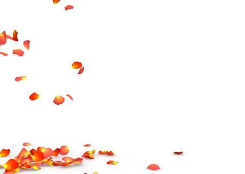 Rose petals fall to the floor Stock Illustration