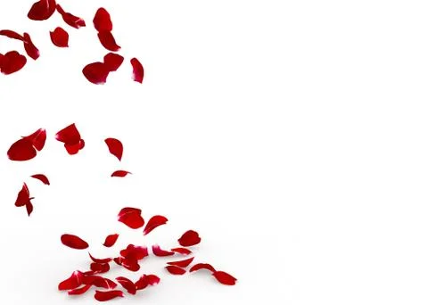 Rose petals fall to the floor Stock Illustration
