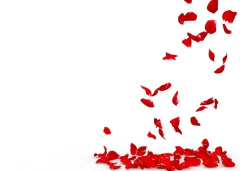 Rose petals fall to the floor Stock Illustration