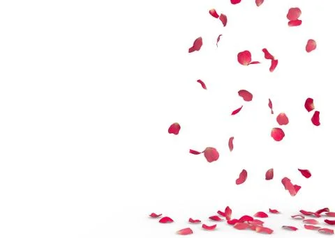 Rose petals fall to the floor Stock Illustration