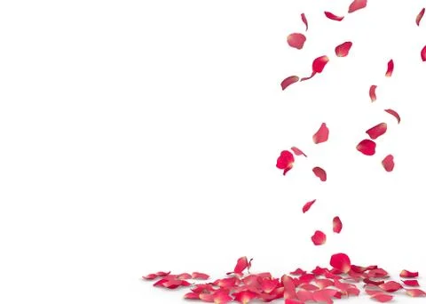 Rose petals fall to the floor Stock Illustration