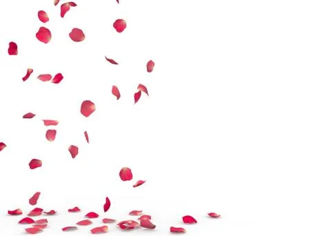 Rose petals fall to the floor Stock Illustration