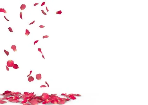 Rose petals fall to the floor Stock Illustration