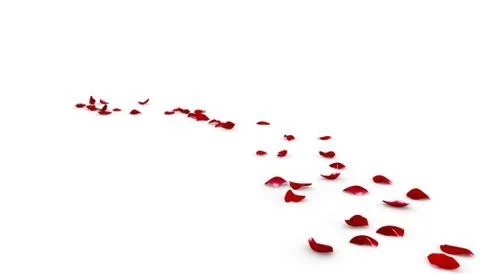 Rose petals fall to the floor Stock Illustration