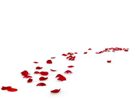 Rose petals fall to the floor Stock Illustration