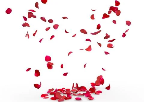 Rose petals fall to the floor Stock Illustration