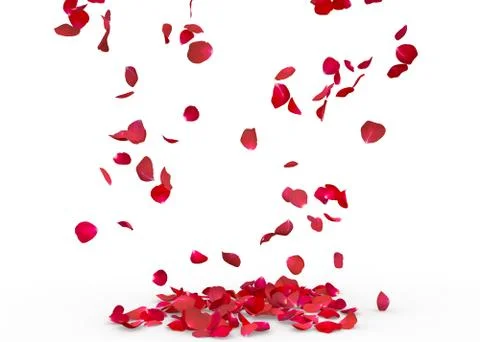 Rose petals fall to the floor Stock Illustration