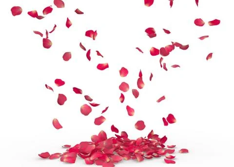 Rose petals fall to the floor Stock Illustration