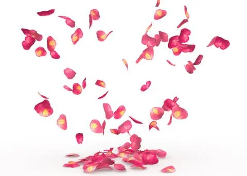 Rose petals fall to the floor Stock Illustration