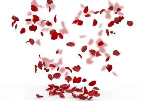 Rose petals fall to the floor Stock Illustration
