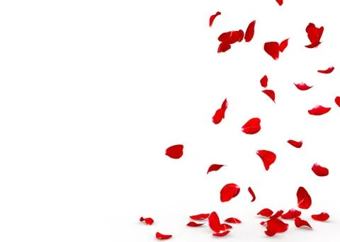Rose petals fall to the floor Stock Photos