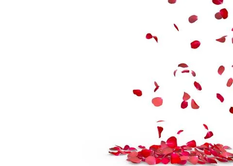 Rose petals fall to the floor Stock Photos