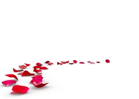 Rose petals fall to the floor Stock Photos