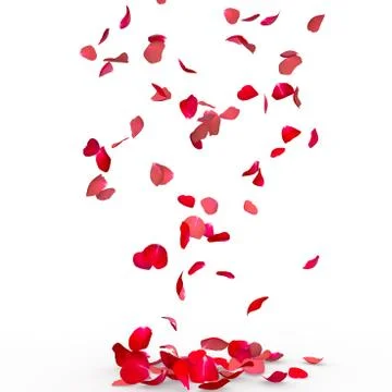 Rose petals fall to the floor Stock Photos