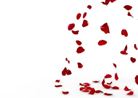 Rose petals fall to the floor Stock Photos