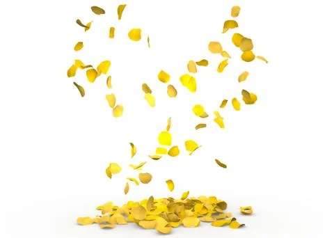 Rose petals fall to the floor Stock Photos