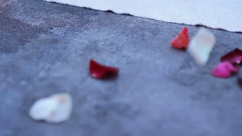 Rose petals fall to the floor for a romantic date. Decor for a romantic date Vídeo Stock 81061019