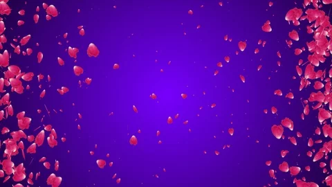 Rose Petals Fall Video Motion Graphics Animation Background Loop HD Stock Footage 94923227