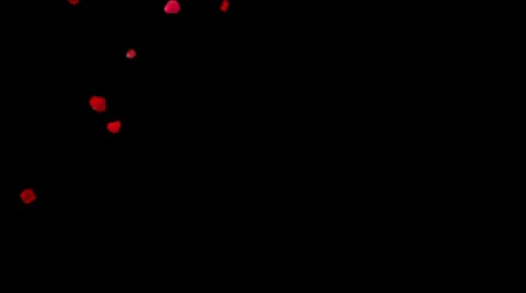 Rose petals falling 10s Video stock 35042971