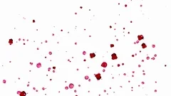 White Rose Petals - Falling Loop, Bugs Motion Graphics ft. christmas &  falling - Envato Elements