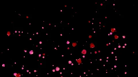 Rose petals falling with Alpha Channel Stock Footage 126420948