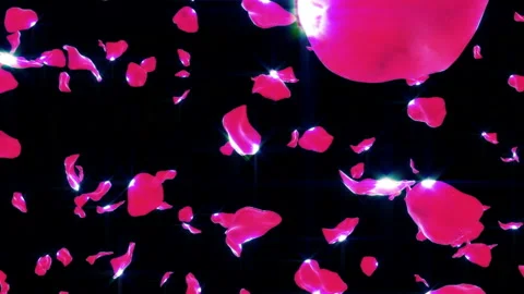 Rose Petals Falling on Black (Loop) 4K Vidéo 106084014