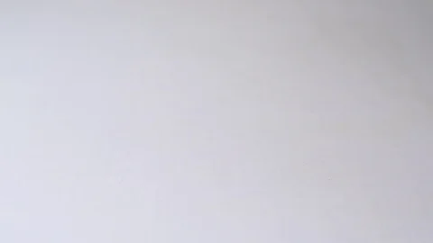 Rose petals falling down. Stock Footage 70565591