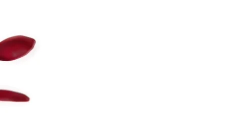 Rose petals falling with for overlay Stock Footage 170302168