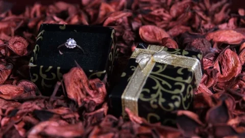 Rose petals falling on ring Stock Footage 169887440