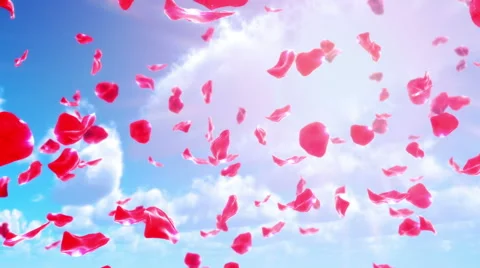 Rose Petals Falling from Sky (Loop) Video stock 61166459