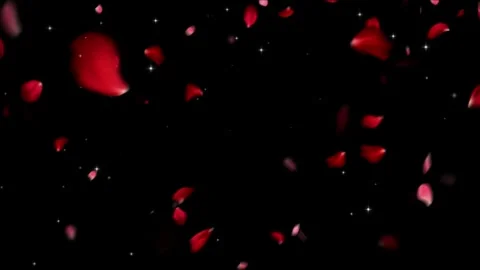 Rose petals falling with sparkling lights on black background 스톡 동영상 337465662
