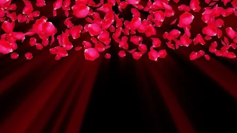 Rose petals falling from top to bottom, computer generated. Rain of petals. 3d イラスト素材