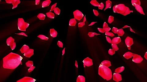 Rose petals falling from top to bottom, computer generated. Rain of petals. 3d Stock-Illustration