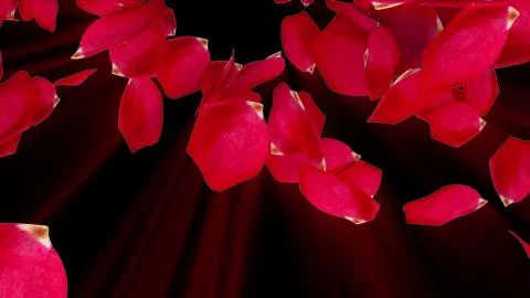 Rose petals falling from top to bottom, computer generated. Rain of petals. 3d Illustrazione stock