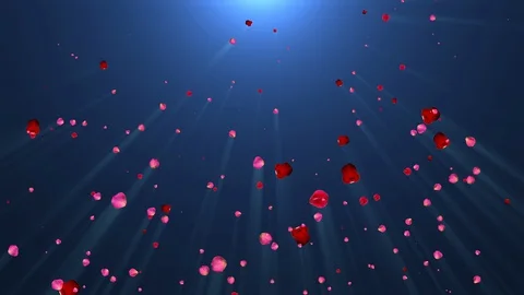 Rose petals falling under bright light Video stock 129361291