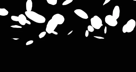 Rose petals falling for video overlay Stock Footage 169830182